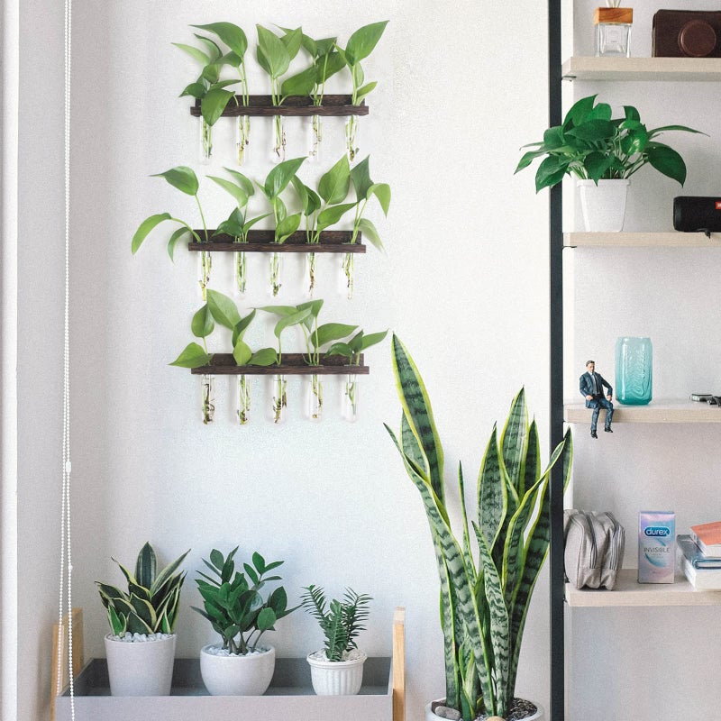 Renmxj Plant Propagation Station Tubes  3 Tiered 15 Wall Hanging Glass Test Tubes Vase Planter for Hydroponic Home Garden Office Decor  Gardening Gifts for Women Plant Lover - Brown - Image 4
